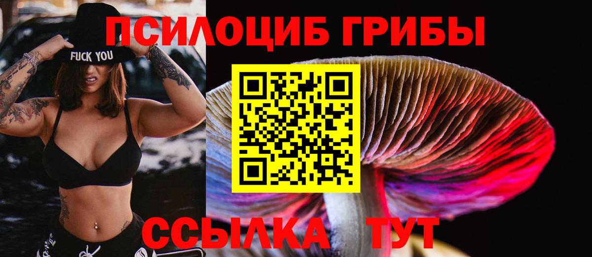 Галлюциногенные грибы MAGIC MUSHROOMS  Вход с VPN  Азов 